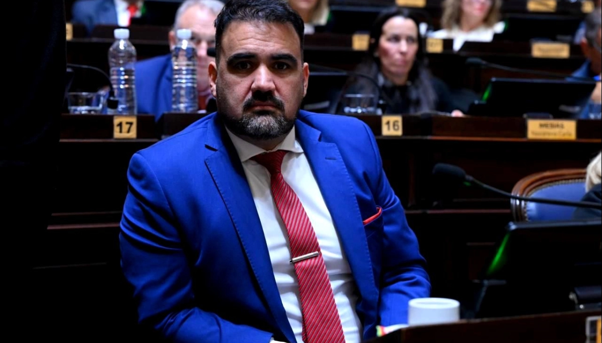 Luayza repudió los vetos de Milei al financiamiento universitario y a la emergencia en pediatría