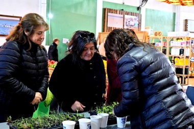 Mercado gastronómico, juegos y huertas: la agenda del Puerto de Bahía Blanca para este fin de semana