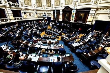 La ley de acompañantes terapéuticos obtuvo media sanción en Diputados bonaerenses