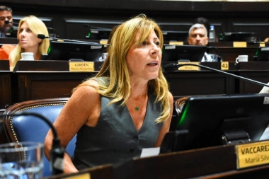 Presentan un proyecto para evitar aumentos desmedidos en ingresos brutos en la Provincia