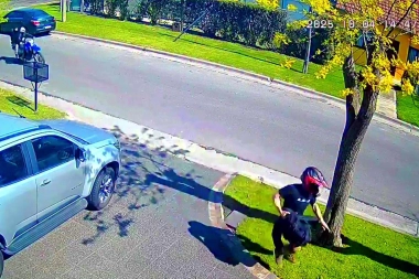 "Tirala porque te mato": salvaje ataque de motochorros en Mar del Plata