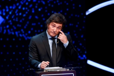 Cuál es la meta de Milei para las elecciones del 26 de octubre y poder blindar sus vetos