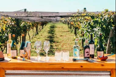 Destinos bonaerenses: conocé el calendario completo sobre los eventos de vinos en toda la Provincia
