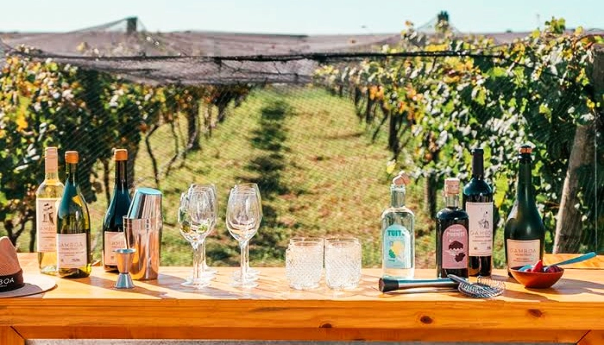 Destinos bonaerenses: conocé el calendario completo sobre los eventos de vinos en toda la Provincia