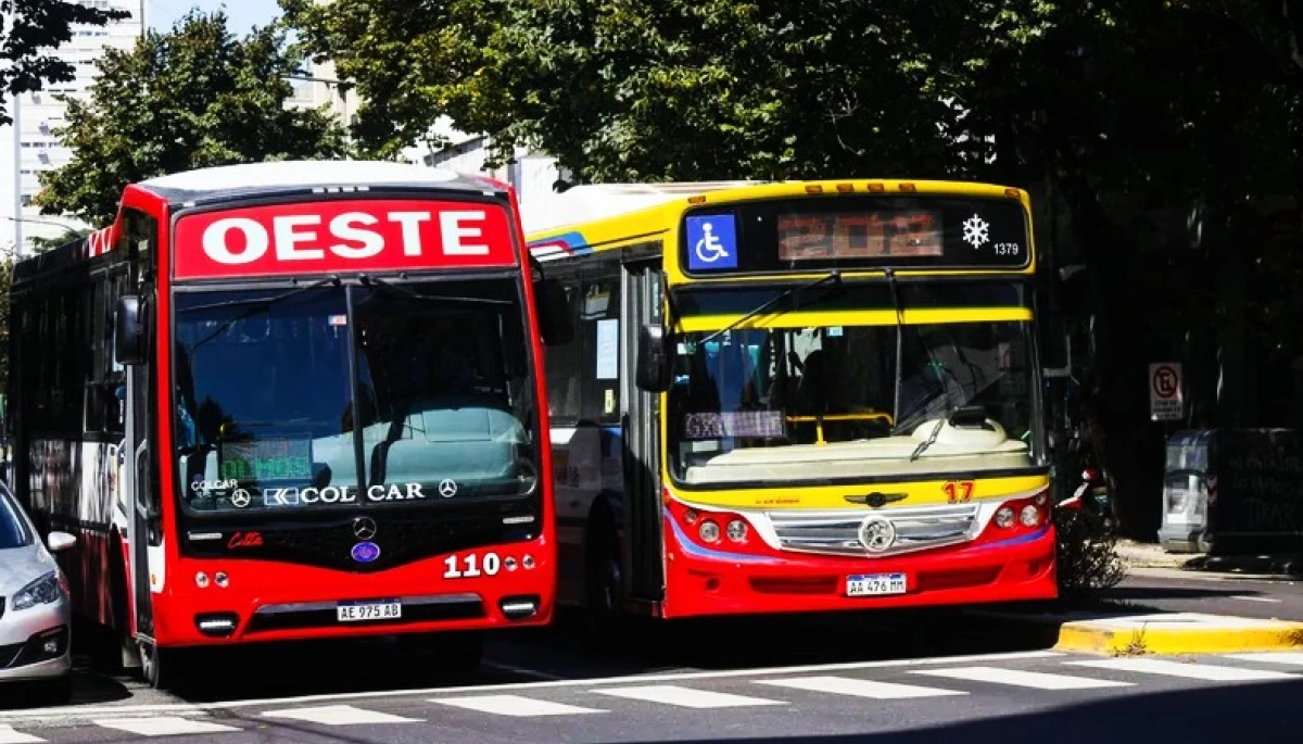 Transporte gratis: cómo se prepara La Plata para las elecciones del domingo