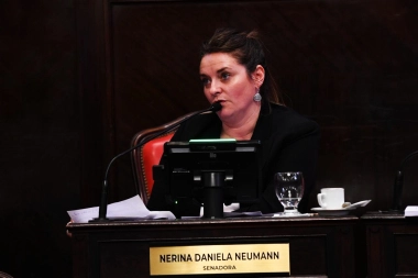 Senadora radical pide debatir la Boleta Única y Ficha Limpia en la Provincia de Buenos Aires