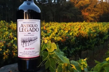 Destinos bonaerenses: Madariaga y Mercedes sacan botellas de la tierra con vinos de primer nivel