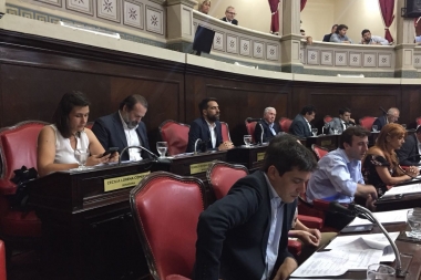 Bloque de senadores del FpV-PJ rechazan el presupuesto por el "endeudamiento alarmante"