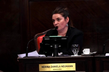 Neumann celebró que el Senado bonaerense aprobó la adhesión de la Provincia al régimen de empleo protegido
