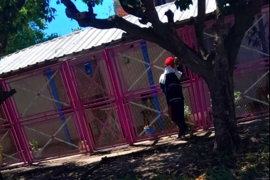 Salió de la casa para hacer unas compras y un ratero la emboscó antes de cruzar la calle