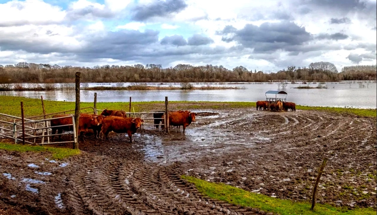 Tormentas e inundaciones en el Interior bonaerense: qué medidas anunció el Gobierno nacional