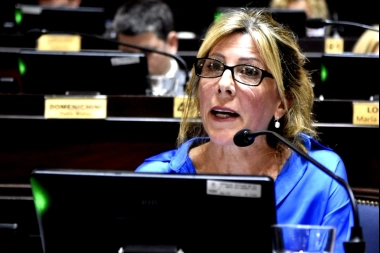 La diputada Vaccarezza denunció la reducción de obras y pidió avanzar con el Comité de Cuenca Río Salado
