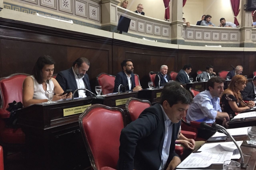 Bloque de senadores del FpV-PJ rechazan el presupuesto por el "endeudamiento alarmante"