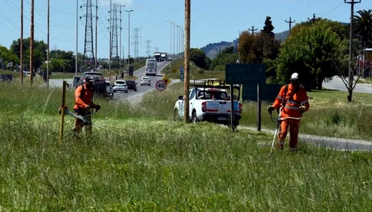 Un municipio bonaerense se le animó a Nación y lo obligó a cortar el pasto en la Ruta 226