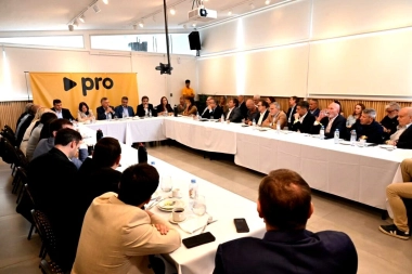 Cumbre del PRO: la lapidaria definición de Vidal que pone en jaque la relación con La Libertad Avanza