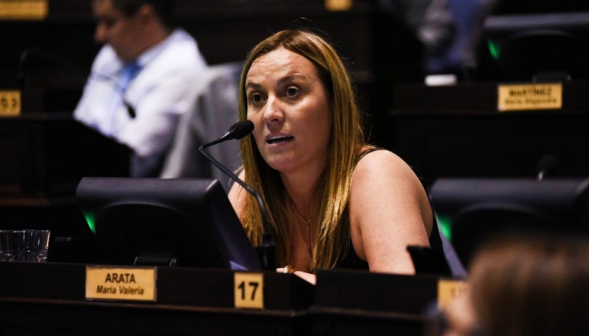 Una referente massista pidió que el peronismo proponga soluciones concretas: “No alcanza con frenar a Milei”