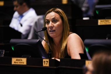 Una referente massista pidió que el peronismo proponga soluciones concretas: “No alcanza con frenar a Milei”