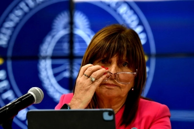 “Retrocedemos”: Bullrich salió a cuestionar al Conicet y la ciencia con un polémico comentario