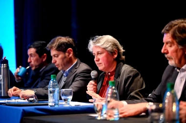 Kicillof y la renovación de su Gabinete: el Senado bonaerense aprobó a Flavia Terigi en Educación