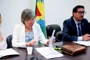 La diputada radical que presentó varios proyectos para asistir a los municipios afectados por el temporal