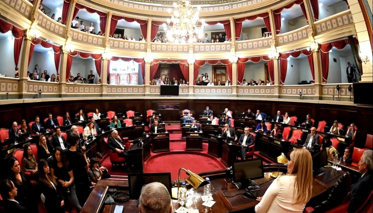 Nombre por nombre: quiénes son los nuevos legisladores que juraron en la Cámara de Senadores bonaerense