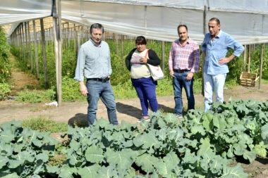 Gray recorrió el cordón frutihortícola de La Plata y se reunió con productores agropecuarios