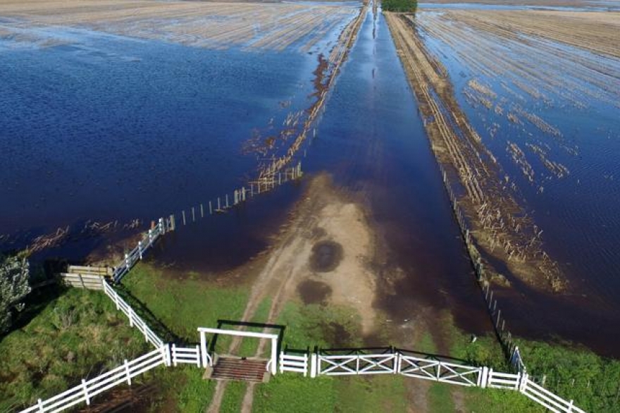 Solicitan medidas urgentes y efectivas para los productores inundados