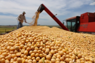 No arranca: la actividad económica cayó en el segundo trimestre y es la más baja en cuatro años