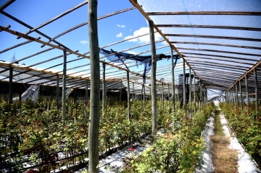 Tras el temporal en La Plata lanzan una “línea de crédito blando” para los productores afectados