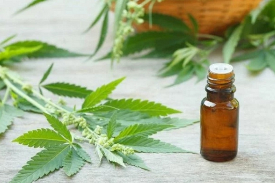 Más farmacias de la Provincia se suman a ayudar a pacientes a acceder al aceite de cannabis