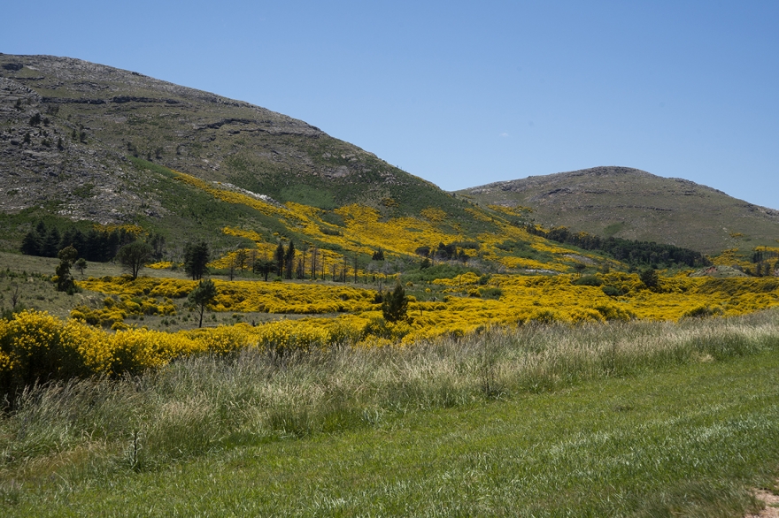 Conocé la Comarca Turística de Sierra de la Ventana, donde naturaleza y gastronomía se conjugan