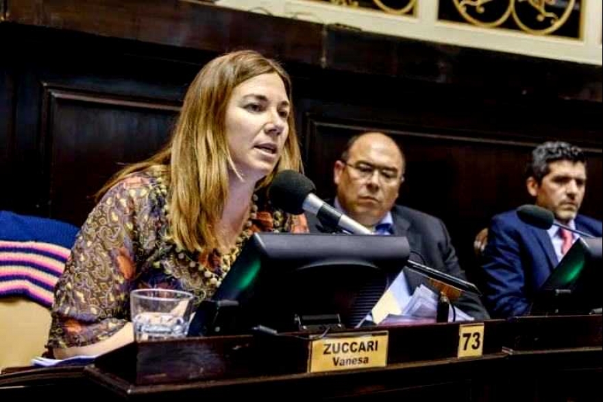 Desde la oposición, la legisladora Zuccari calificó de “Impuestazo” la Ley Impositiva