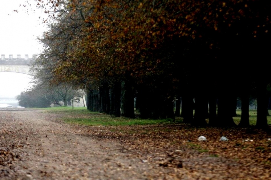 Filmaban un corto en el Parque Pereyra y les roban equipos valuados en 32º mil pesos