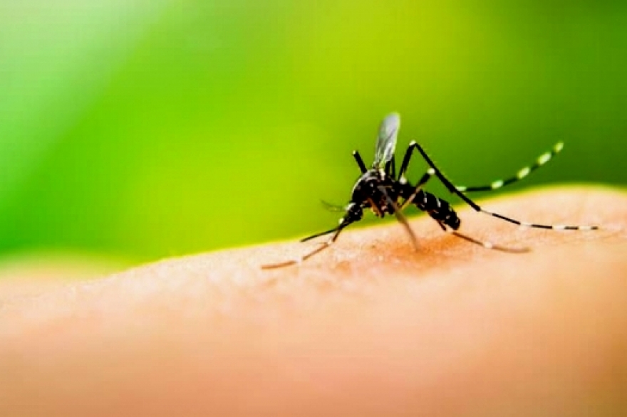 Contra el Dengue: Provincia entregó repelentes para dependencias estatales y hospitales