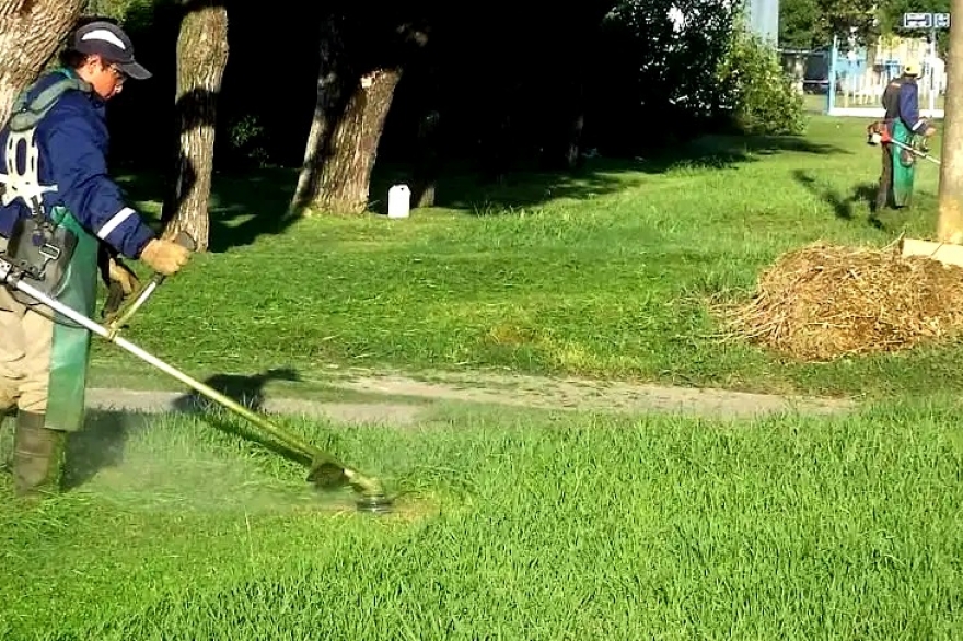 La Plata: habilitan a parqueros, jardineros y pileteros a trabajar para prevenir el dengue