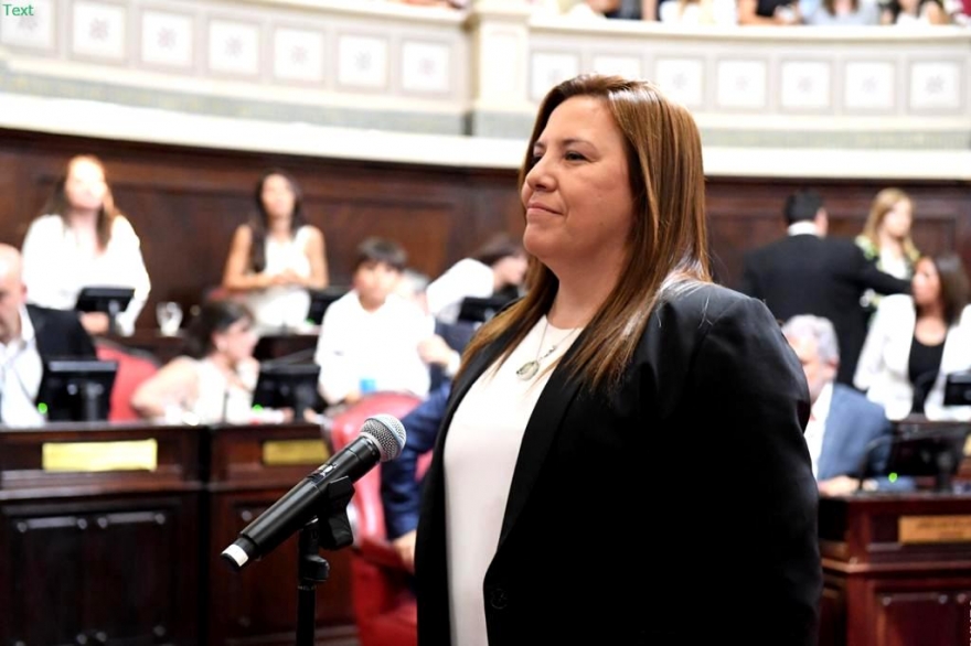 Senadora pide exceptuar de la cuarentena a cuentapropistas y pequeños comerciantes