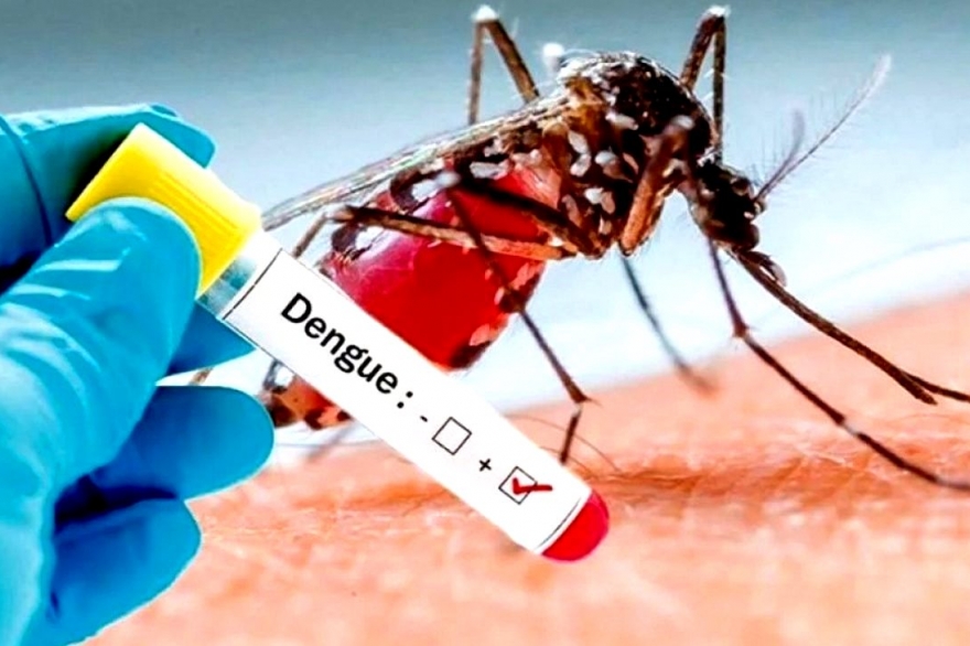 Salto estrepitoso de casos por Dengue en la Provincia: se registran 1649 contagios