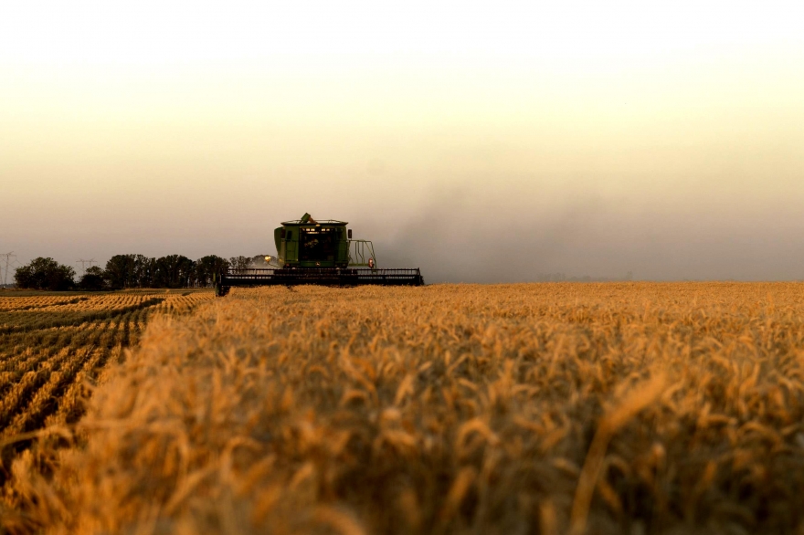 La provincia de Buenos Aires impulsa el aumento de las exportaciones de trigo a Brasil