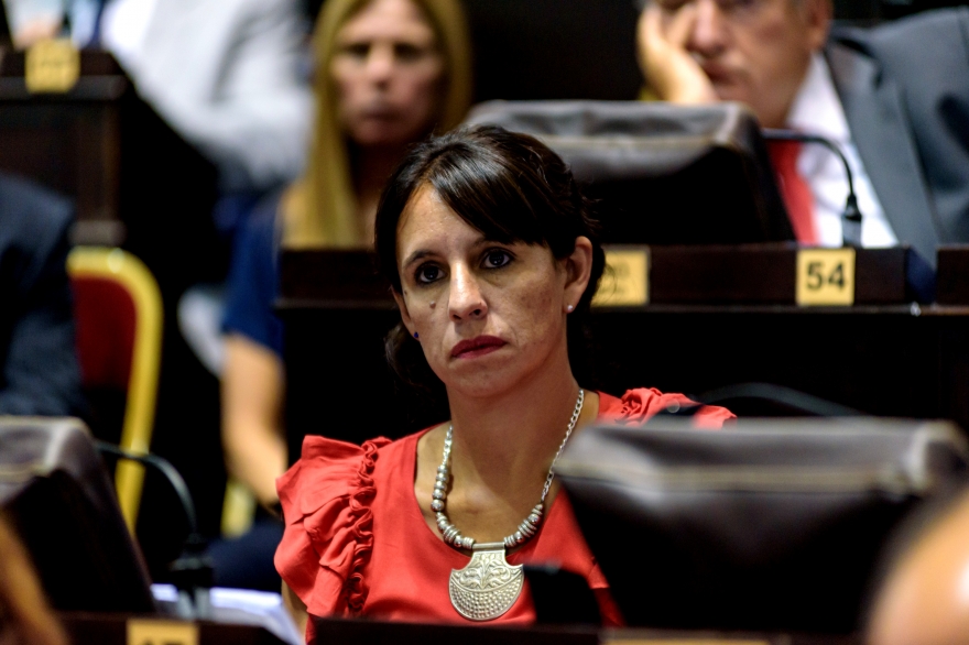 Diputada oficialista cuestionó a Vidal por sus apariciones y la tildó de “electoralista”