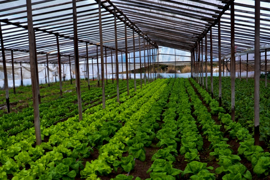 Lanzaron programa de promoción de la agroecología en la Provincia de Buenos Aires