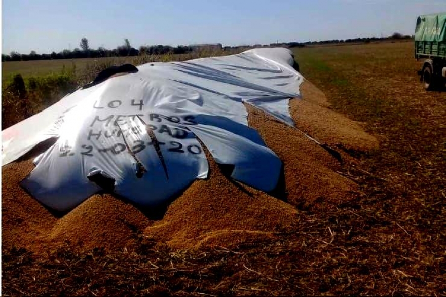 Ante ataque a silobolsas de agropecuarios, Cambiemos pide abrir investigación