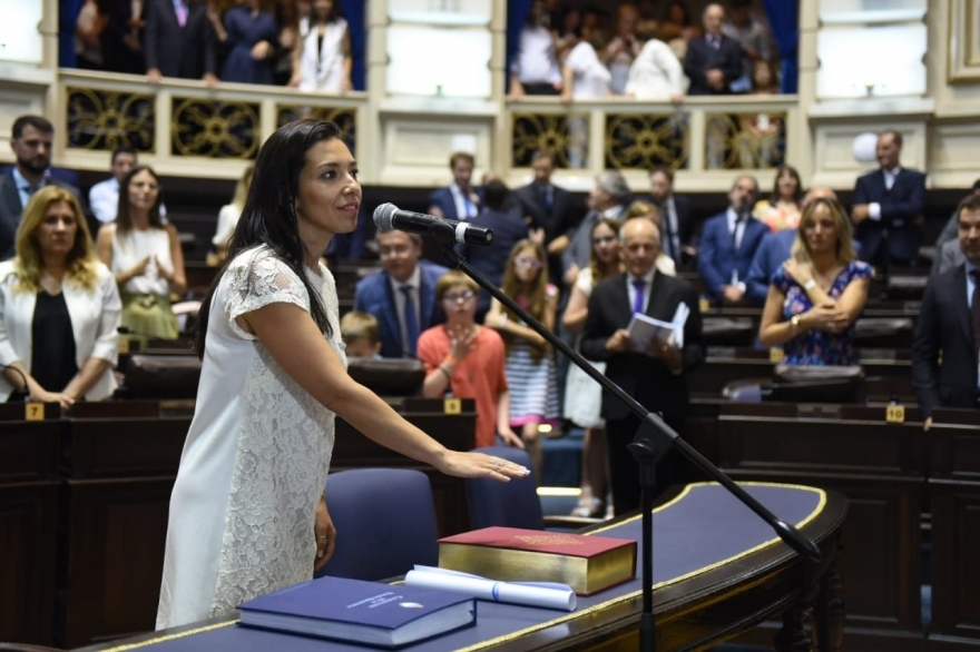 Diputada mostró preocupación porque IOMA "no está entregando" pastillas anticonceptivas