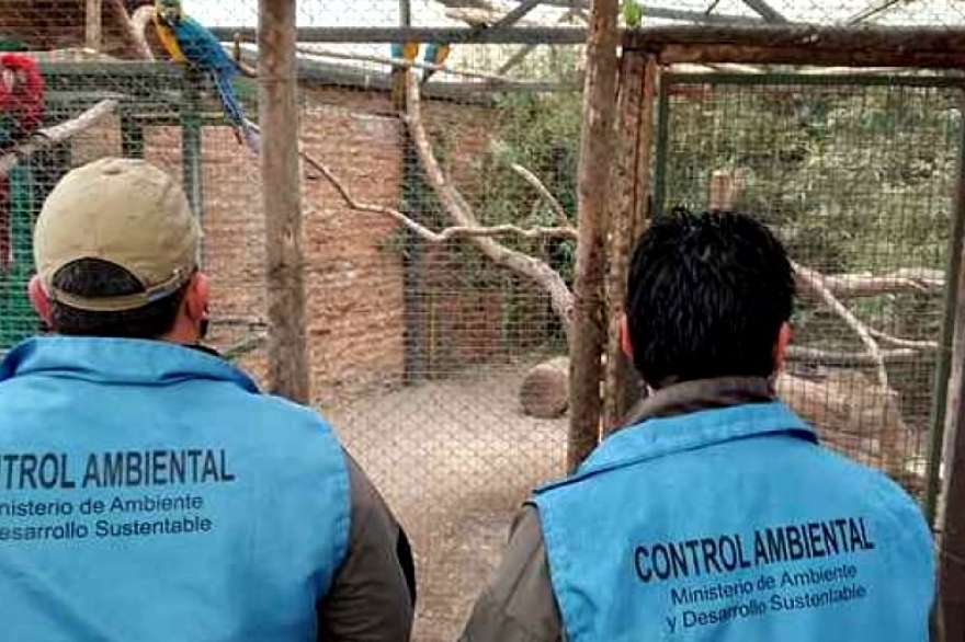 Tras años de irregularidades, clausuraron el zoo de Luján y hubo conflicto con los trabajadores