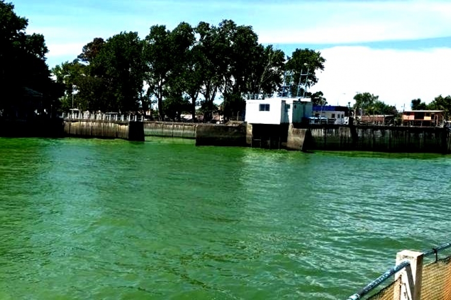 Las algas verdes llegaron a Punta Lara: suspenden el suministro de agua en La Plata
