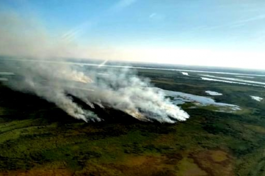 Delta del Paraná: declaran la emergencia ambiental en la zona que comprende 11 municipios