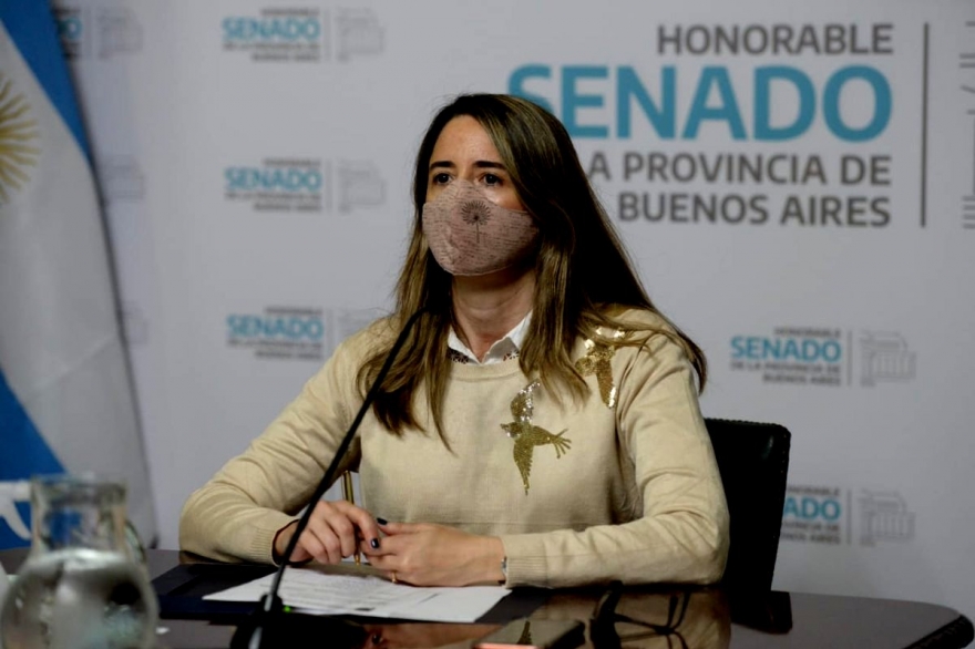 Suspensión de las PASO: Delmonte dijo que el oficialismo busca el cambio “que los beneficie”