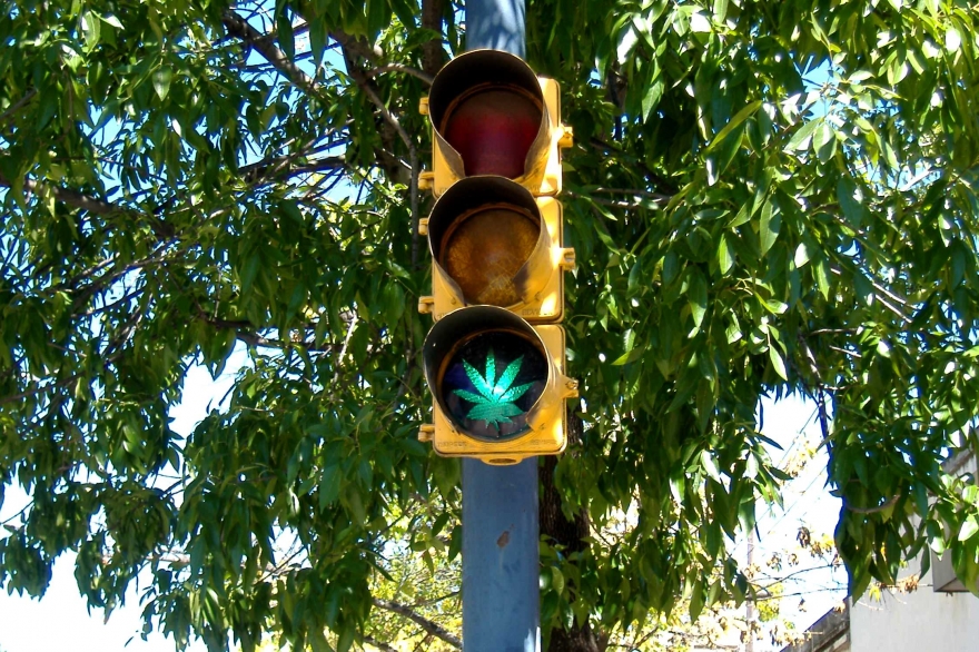 El dilema de ir hacia la regulación de la venta y consumo de marihuana en Argentina