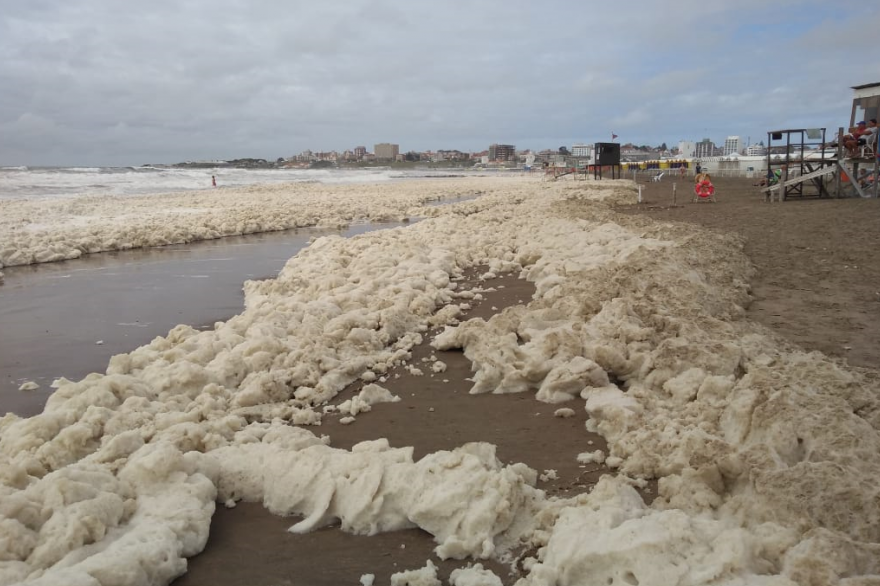 ¿Por qué se formó una extraña espuma en Mar del Plata?: la explicación de los científicos