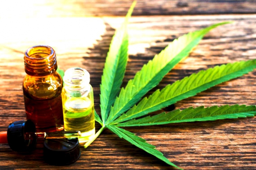 Cannabis medicinal: cómo y dónde inscribirse en el registro para cultivar