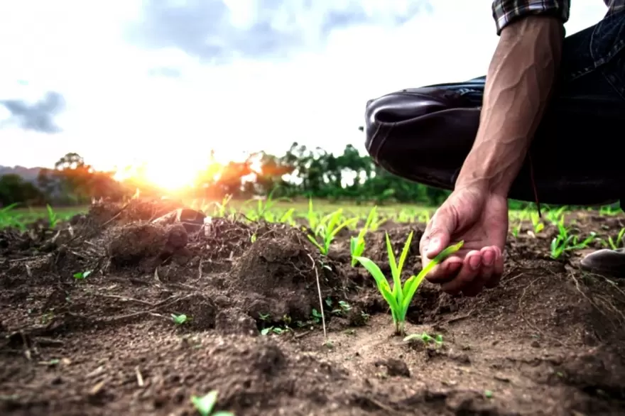 Provincia presentó programa Buenas Prácticas Agrícolas a productores de Carbap